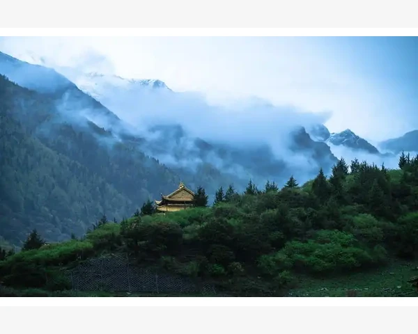 儿童脾胃虚弱如何正确食用香蕉